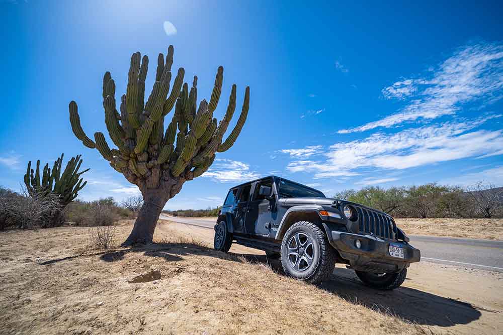baja-off-road-jeep-tour-los-cabos