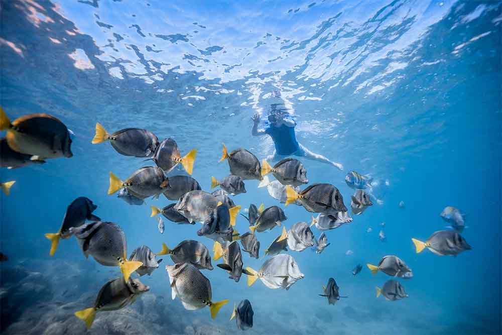 group-cabo-snorkel-tour-los-cabos