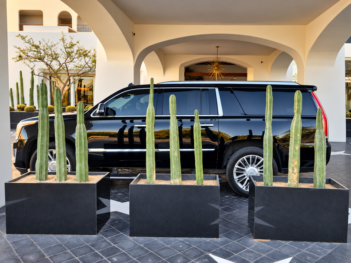 Cabo Luxury Service, private transportation